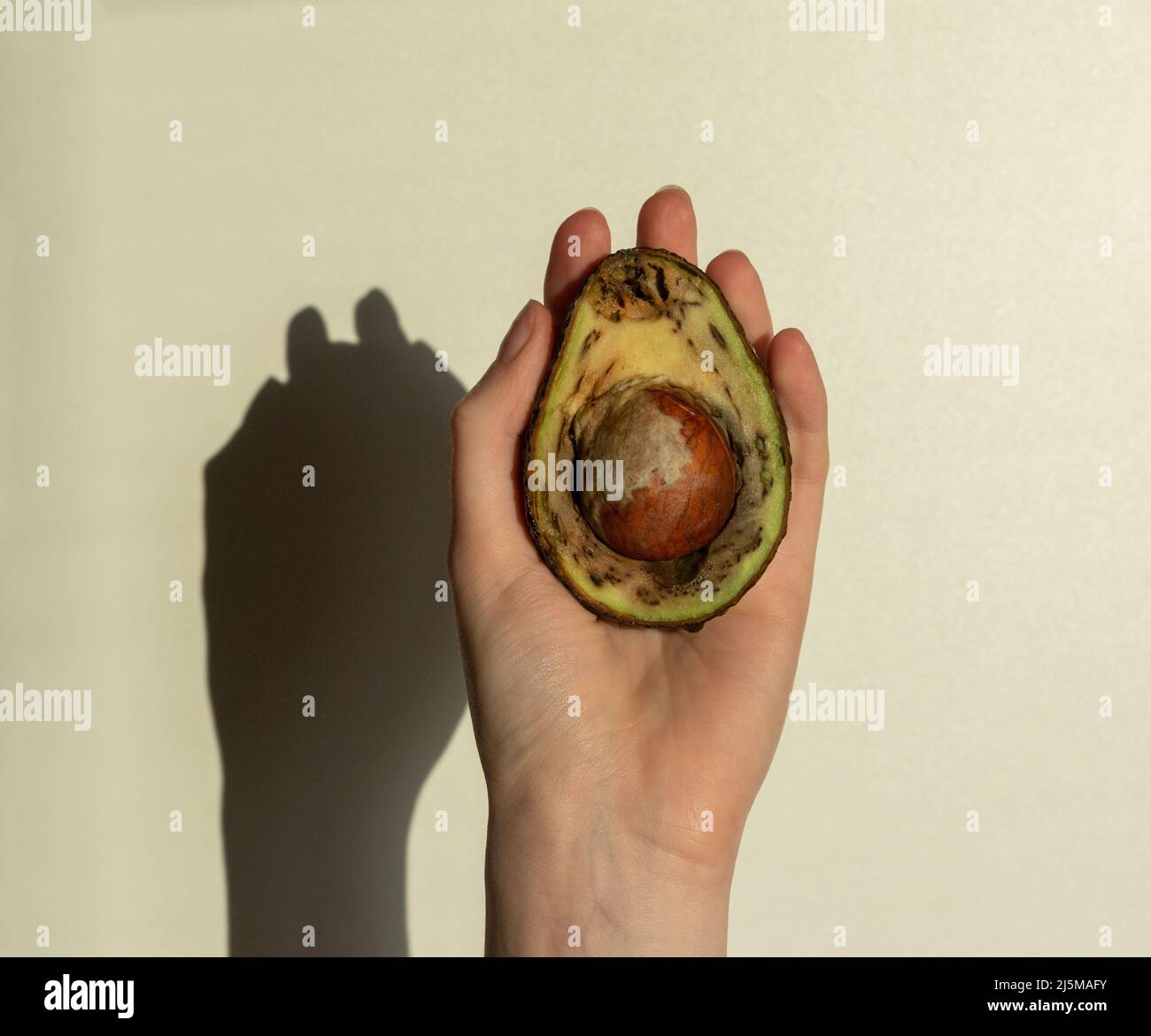 Frau Hand mit hässlich faulen Avocado in zwei Hälften geschnitten. Überreife schlechte Früchte bei Sonnenschein mit Schatten. Hochwertige Fotos Stockfoto
