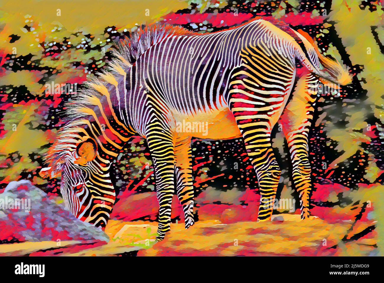 Lebhaft gemaltes Zebra mit abstraktem Hintergrund. Stockfoto