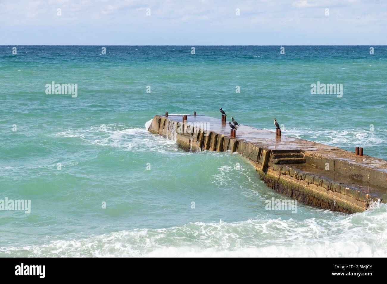 Kormorane sitzen auf einem Wellenbrecher, Sommerlandschaftsfoto, das an der Schwarzmeerküste an einem sonnigen Sommertag, der Krim, aufgenommen wurde Stockfoto