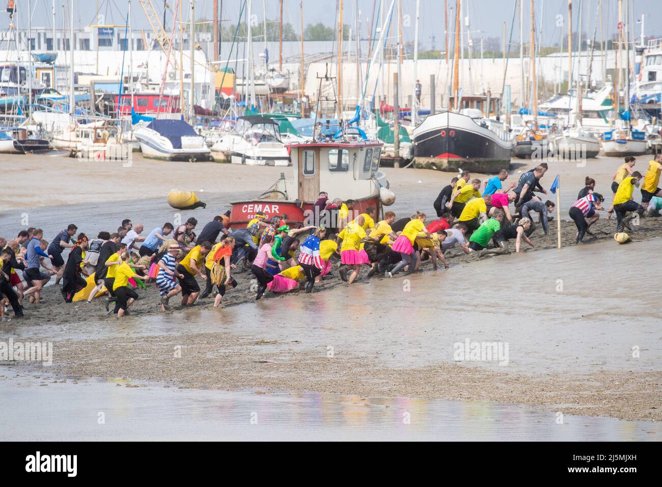 Essex, Großbritannien. 24. April 2022. Die Teilnehmer nehmen am Maldon Mud Race in Maldon, Essex, Teil, da das Rennen zum ersten Mal seit zwei Jahren zurückkehrt. Das Maldon Mud Race ist ein alljährliches Fun-Rennen, das im Frühjahr (ursprünglich im Winter, jetzt Ende April oder Anfang Mai) im Promenade Park in Maldon, Essex, England, stattfindet und bei dem die Teilnehmer um einen 500 Meter (550 Meter) langen Schuss in dickem Schlamm kämpfen. Über dem Bett des Flusses Blackwater. Das Rennen wird von den Lions & Rotary Clubs von Maldon und dem Maldon District Council organisiert, die Geld für wohltätige Zwecke sammeln. Kredit: SOPA Images Limited/Alamy Live Nachrichten Stockfoto