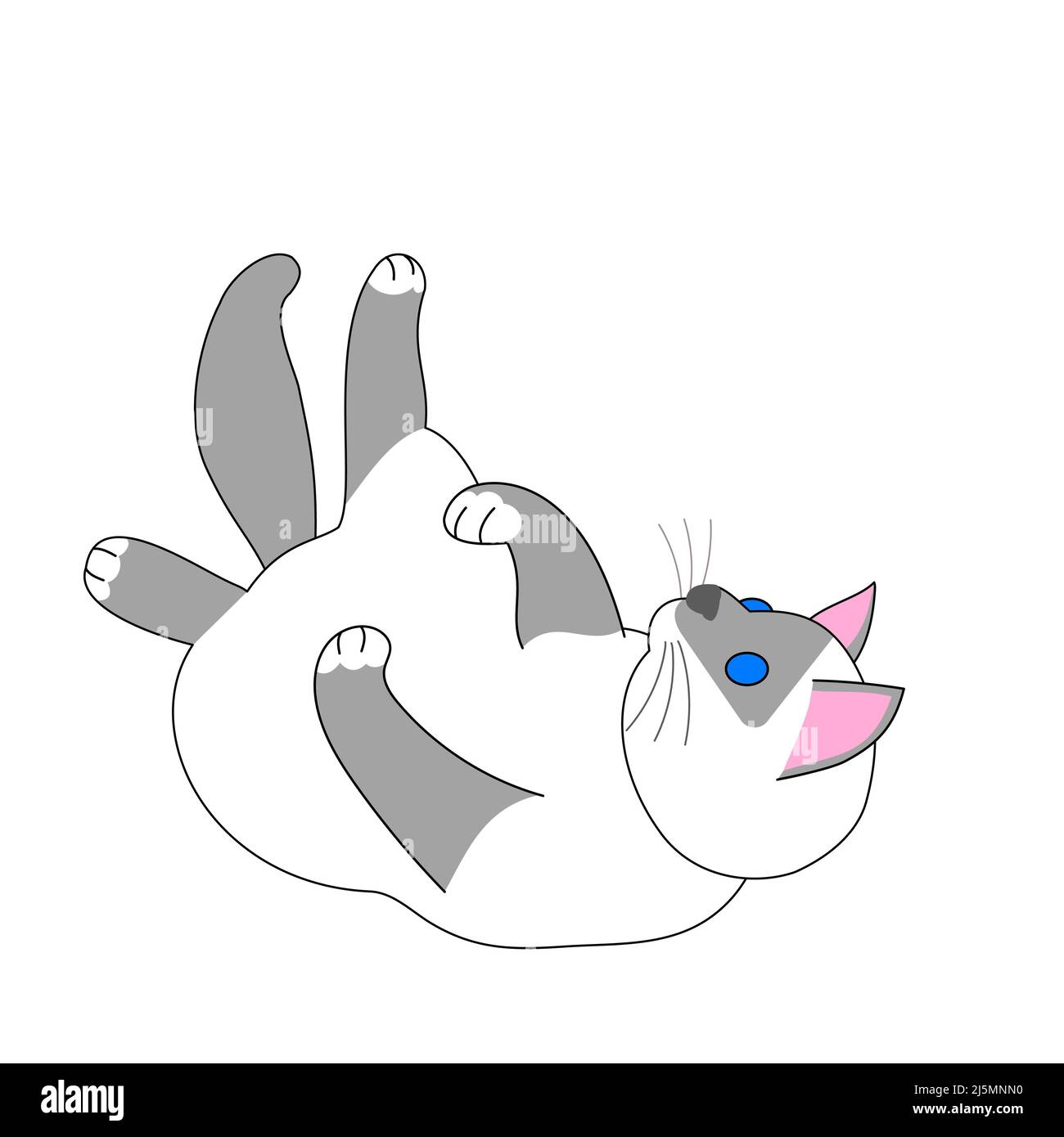 Eine spielende birman Katze mit weißem Hintergrund Stockfoto