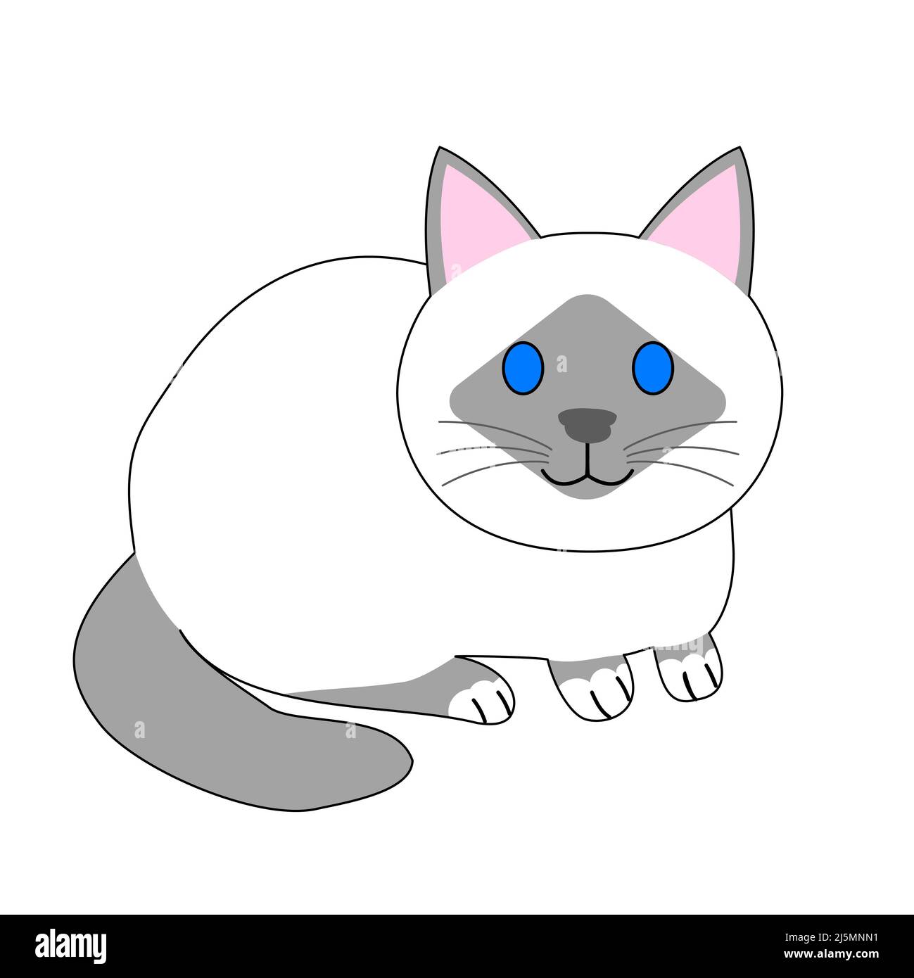 Sitzende birman Katze mit weißem Hintergrund Stockfoto