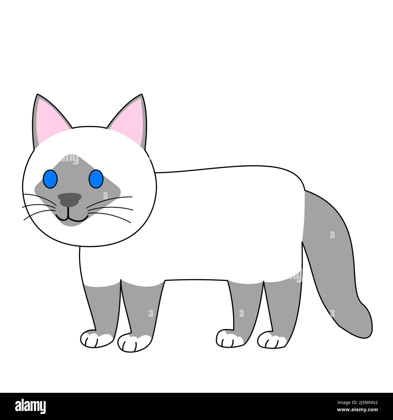 Eine stehende birmankatze mit weißem Hintergrund Stockfoto