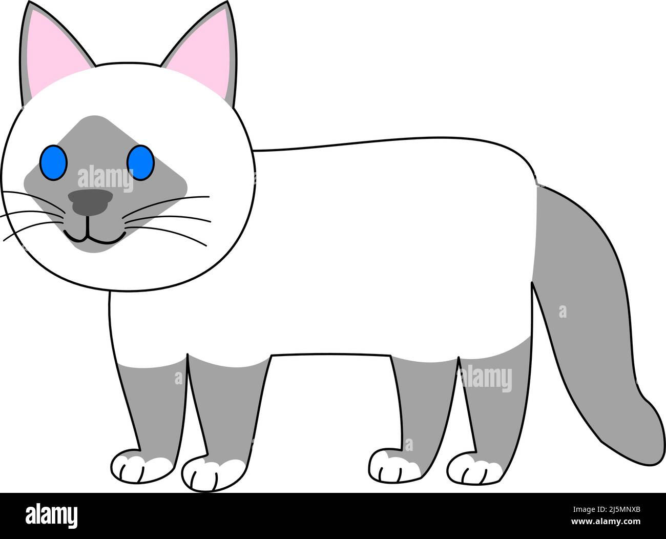 Eine stehende birmankatze mit weißem Hintergrund Stockfoto