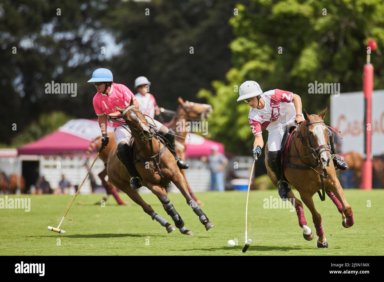 Wellington, FL, USA. 24.. April 2022. Pilot Polo vs La Elina Polo Team während der U.S. Open Polo Championship 2022, Finale im International Polo Club Palm Beach, Florida. Endergebnis: 11-6. Sieger: Pilot Polo. Kredit: Yaroslav Sabitov/YES Market Media/Alamy Live Nachrichten Stockfoto