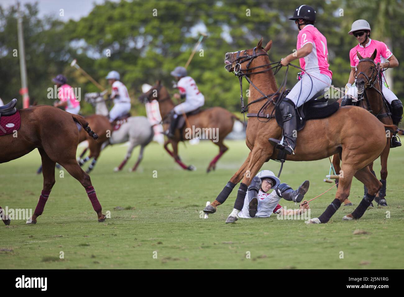 Wellington, FL, USA. 24.. April 2022. Pilot Polo vs La Elina Polo Team während der U.S. Open Polo Championship 2022, Finale im International Polo Club Palm Beach, Florida. Endergebnis: 11-6. Sieger: Pilot Polo. Kredit: Yaroslav Sabitov/YES Market Media/Alamy Live Nachrichten Stockfoto