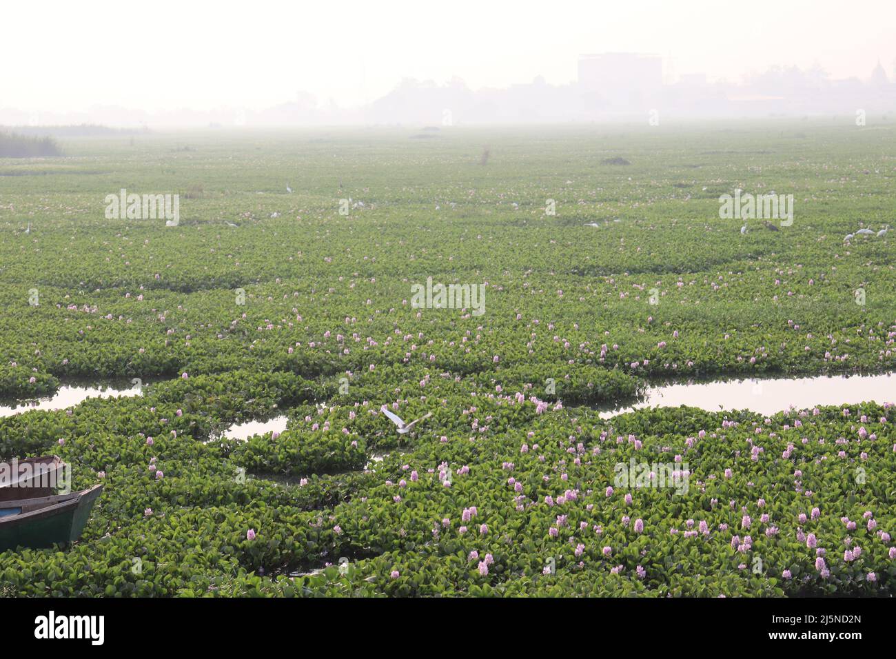 SEEBLICK IN DER NÄHE VON KORADI TEMPEL, NAGPUR. Stockfoto