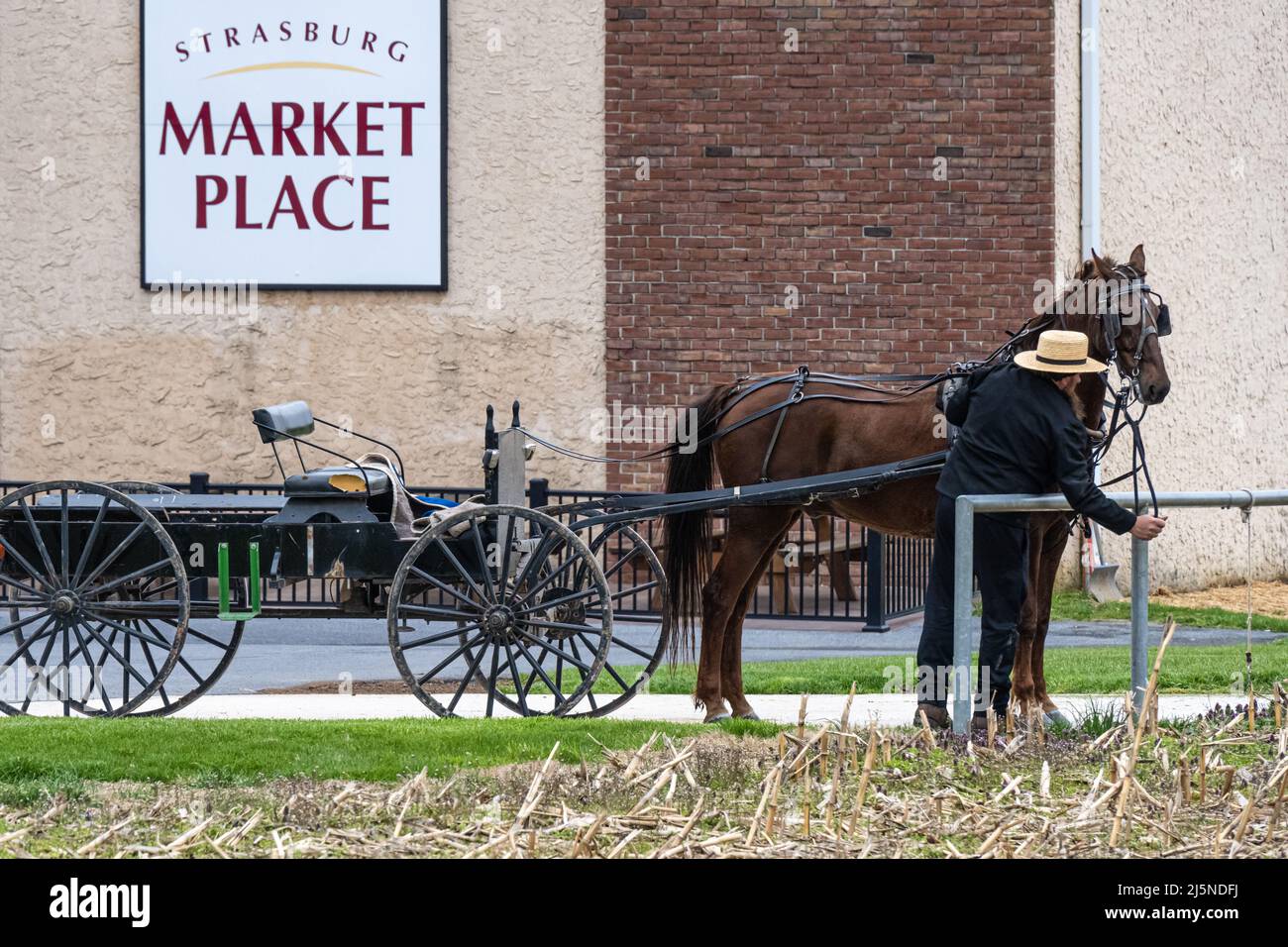 Amish Mann, der sein Pferd und seine Kutsche auf dem Strasburg Market Place in Strasburg, Pennsylvania, einkutscht. (USA) Stockfoto
