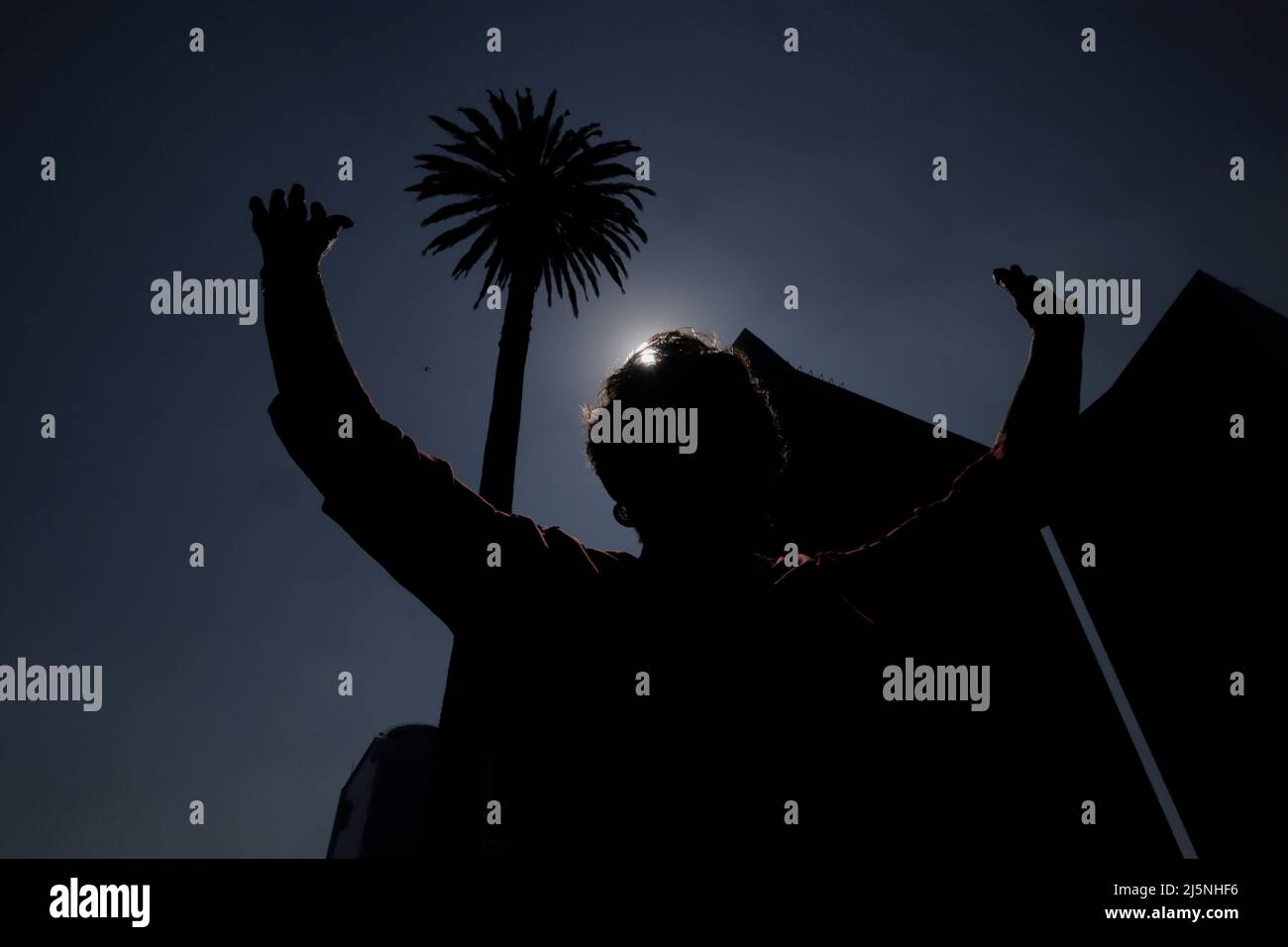 Mexiko-Stadt, Mexiko-Stadt, Mexiko. 24. April 2022. Dutzende von Menschen besuchen La Palma, das einem der berühmten Kreisverkehre auf der Reforma Avenue seinen Namen gab, Die an diesem Sonntag entfernt werden wird, aufgrund des Auftretens einer Pilzpest und der Grad der Verschlechterung macht es bereits unbrauchbar, in diesem Raum zu bleiben, den es seit 100 Jahren besetzt hat. Am 24. April 2022 in Mexiko-Stadt, Mexiko. (Bild: © Gerardo Vieyra/eyepix via ZUMA Press Wire) Stockfoto