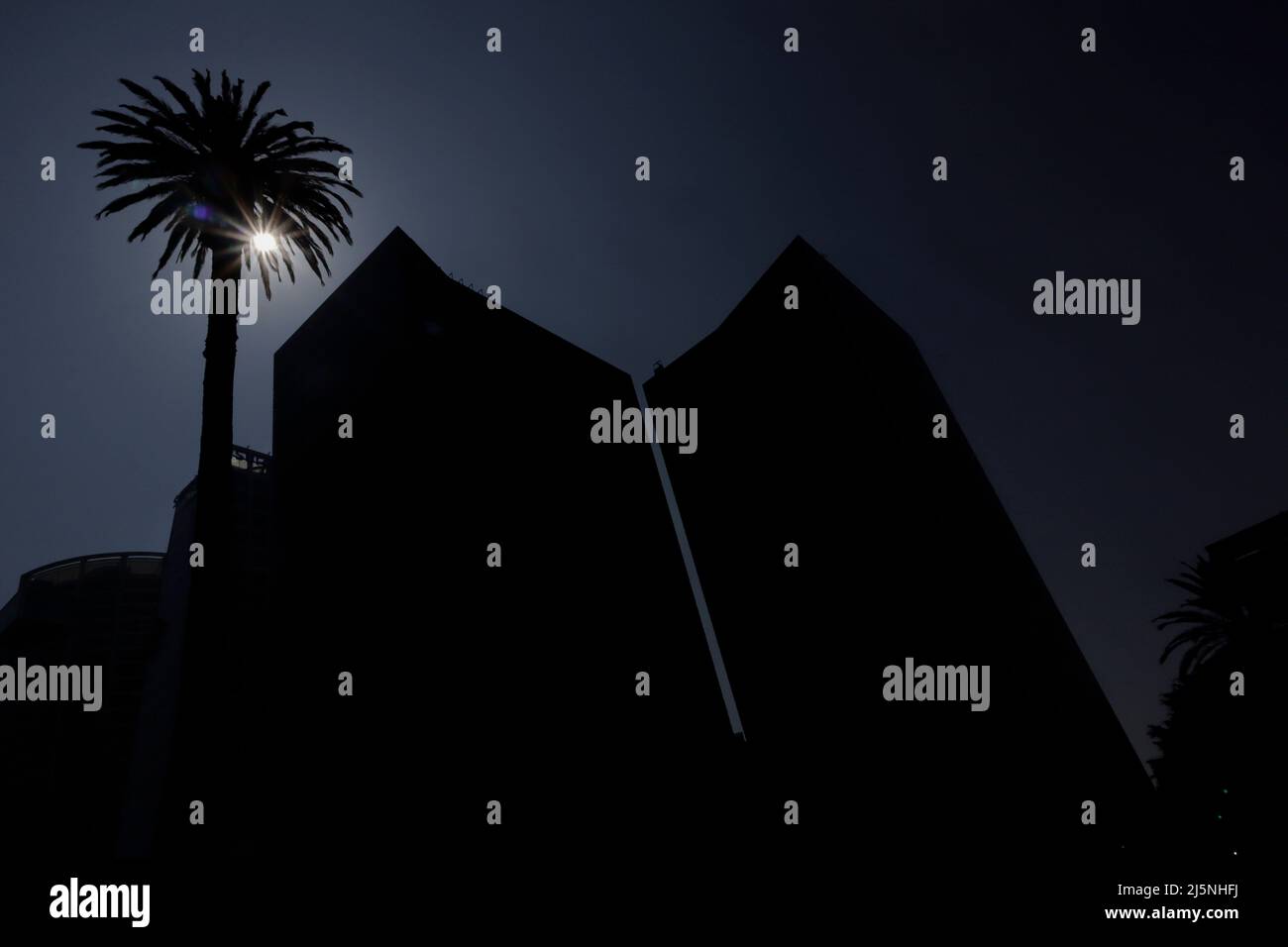 Mexiko-Stadt, Mexiko-Stadt, Mexiko. 24. April 2022. Dutzende von Menschen besuchen La Palma, das einem der berühmten Kreisverkehre auf der Reforma Avenue seinen Namen gab, Die an diesem Sonntag entfernt werden wird, aufgrund des Auftretens einer Pilzpest und der Grad der Verschlechterung macht es bereits unbrauchbar, in diesem Raum zu bleiben, den es seit 100 Jahren besetzt hat. Am 24. April 2022 in Mexiko-Stadt, Mexiko. (Bild: © Gerardo Vieyra/eyepix via ZUMA Press Wire) Stockfoto