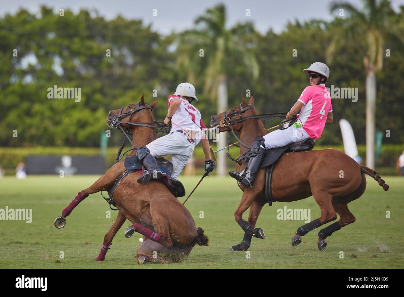 Wellington, Usa. 24. April 2022. 3 Matias Torres Zavaleta vom Pilot Polo, 4 Jared Zenni von La Elina in Aktion gesehen während der U.S. Open Polo Championship 2022, Finale im International Polo Club Palm Beach, Florida. Endergebnis: 11-6. Sieger: Pilot Polo. Kredit: SOPA Images Limited/Alamy Live Nachrichten Stockfoto