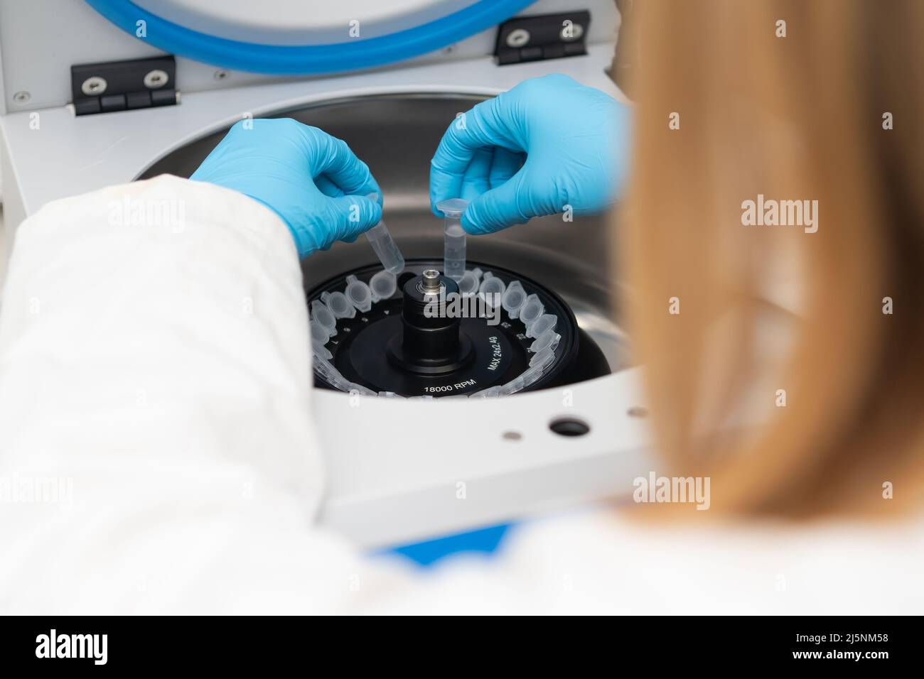 Labormitarbeiter legt chemische Röhrchen in die Zentrifuge. Biochemie und Forschungslaborkonzept. DNA- und pharmazeutische Analyse. Stockfoto