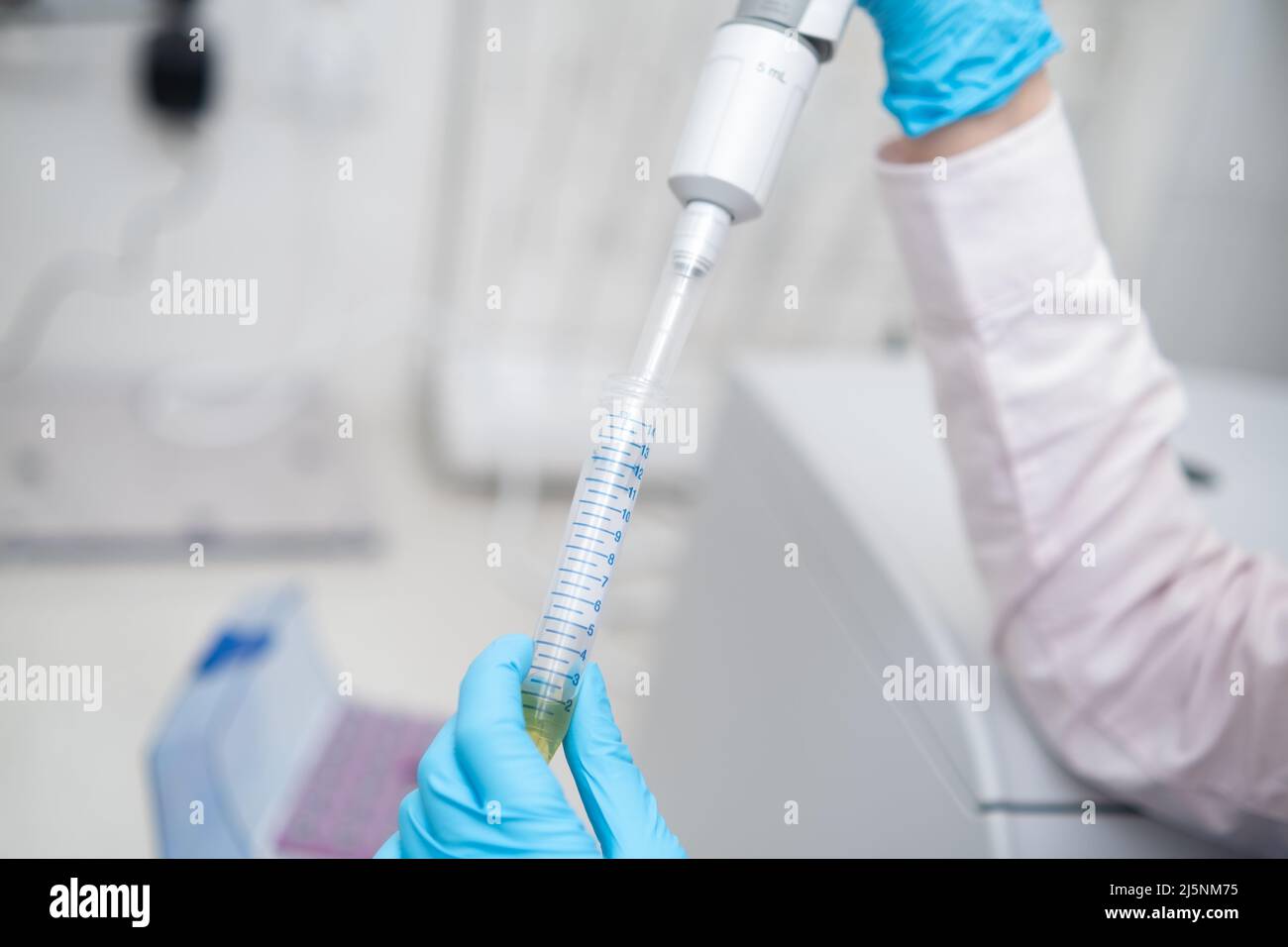 Der Wissenschaftler sammelt die Probe mithilfe der automatischen Pipette. Konzept der chemischen und klinischen Analyse. Stockfoto