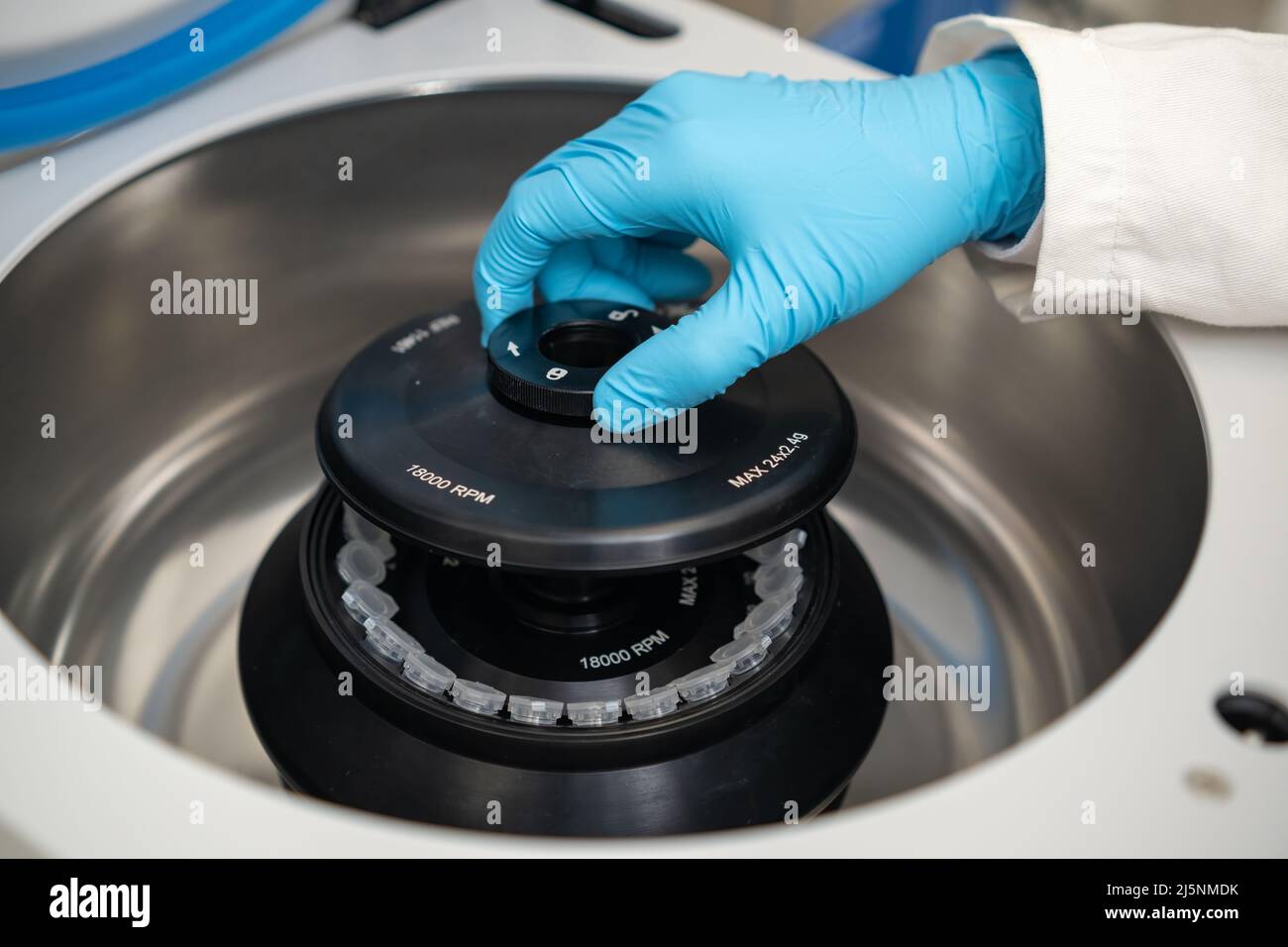 Eine Laborantin mit Gummihandschuhen befüllt eine Zentrifuge und schließt die Kappe. DNA-Test oder onglogy Marker Tests Konzept. Stockfoto