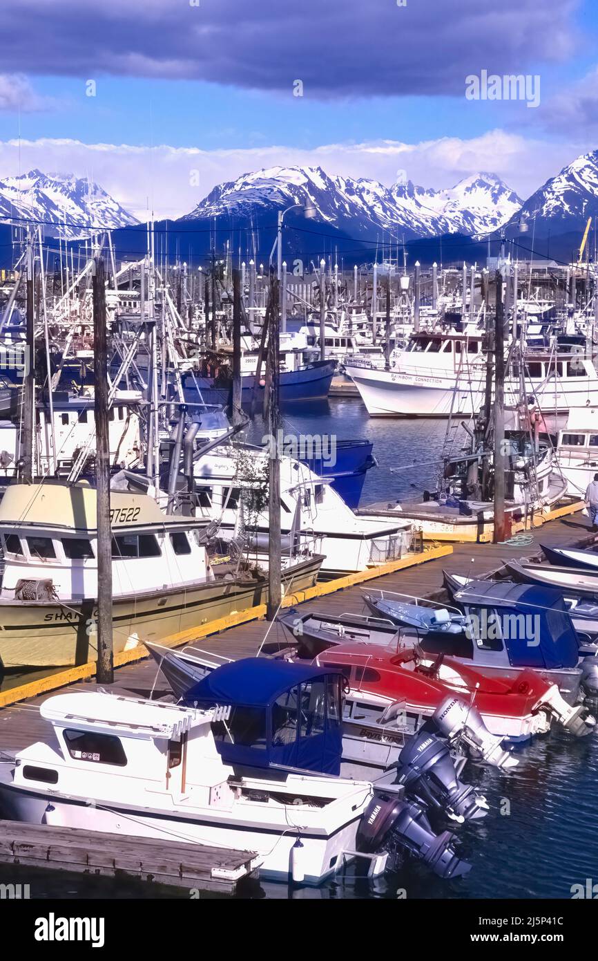 Hafen Homer, Kenai Halbinsel, Alaska, USA Stockfoto