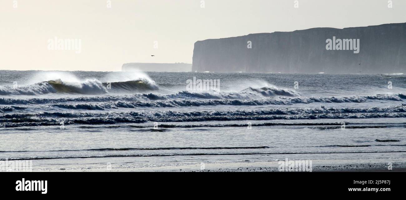 Große Wellen an der Filey Bay, mit Bempton Cliffs dahinter, Yorkshire Ostküste, Nordengland, Großbritannien Stockfoto