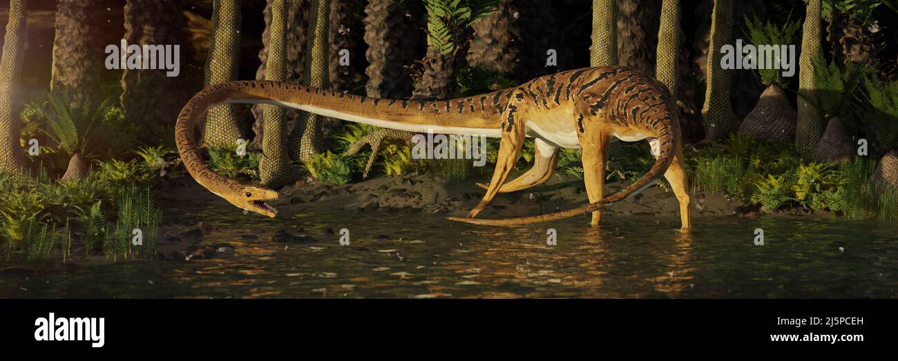 Tanystropheus, ausgestorbenes Reptil in einem triassischen Farnbaumwald, paläoartes Banner Stockfoto