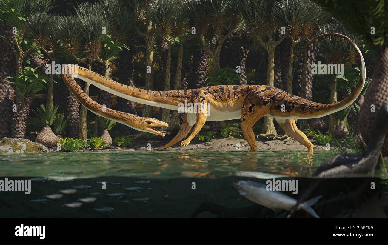 Tanystropheus, ausgestorbenes Reptil in einem triassischen Farnbaumwald Stockfoto