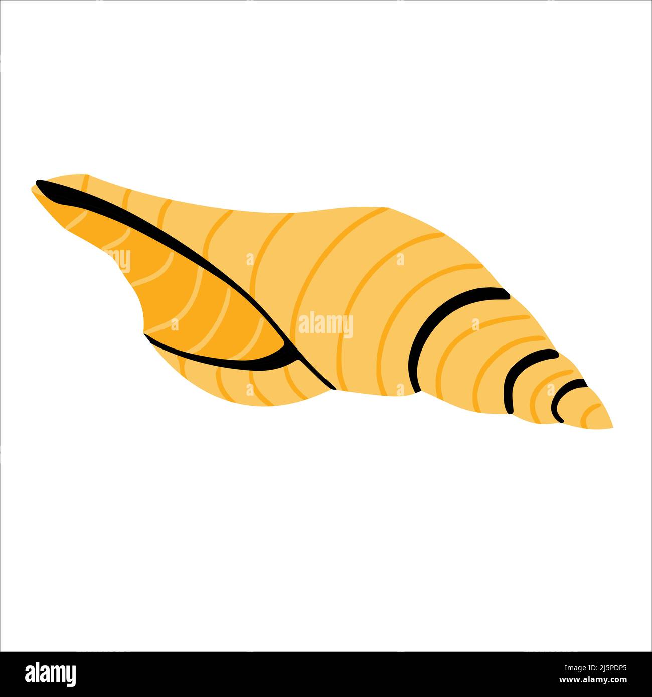 Handgezeichneter Seashell-Doodle-Stil. Vektorgrafik Stock Vektor