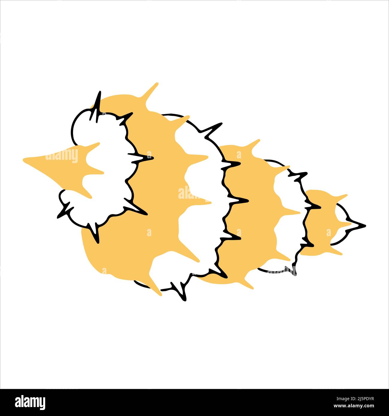 Handgezeichneter Seashell-Doodle-Stil. Vektorgrafik Stock Vektor