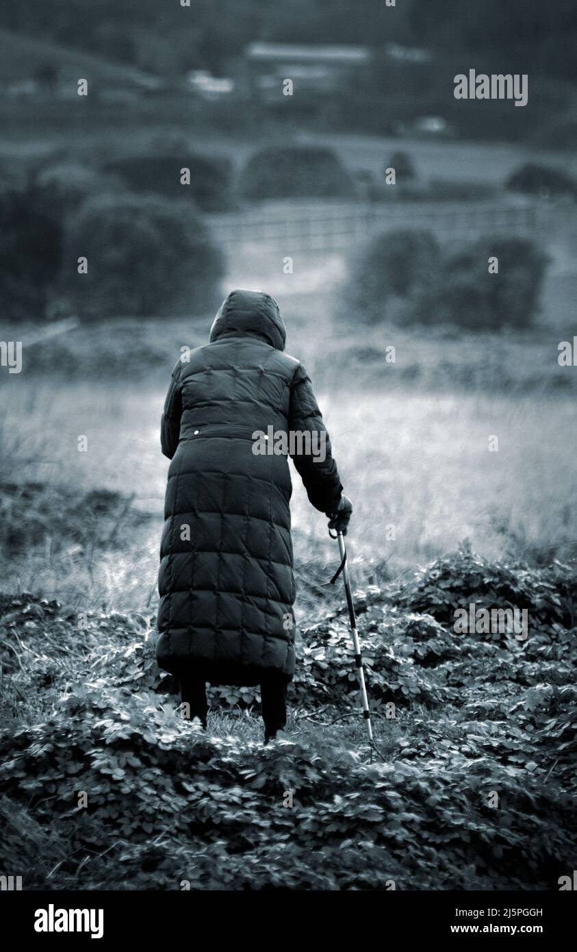 Alte, unsichere Frauen blicken über das Sumpfland blakeney norfolk england Stockfoto