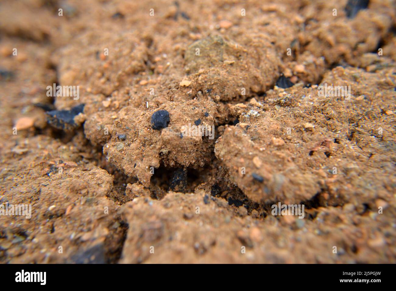 Bodenfotografie Textur Ton. West Orange Sand Nahaufnahme. Die Textur von gebrochenem braunem Boden. Roter Lehmboden auf der Natur als Hintergrund. Sandiger Boden textu Stockfoto