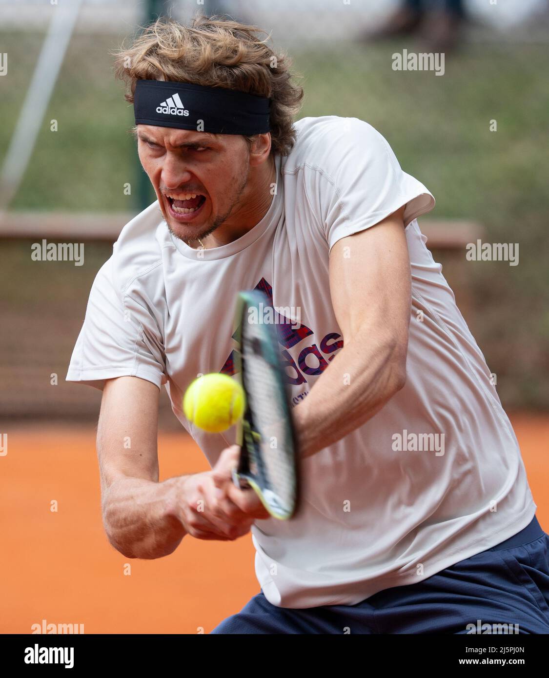 München, Deutschland. 25. April 2022. Tennis: ATP Tour - München, Singles, Männer, Training. Alexander Zverev aus Deutschland am Praxisgericht. Quelle: Sven Hoppe/dpa/Alamy Live News Stockfoto