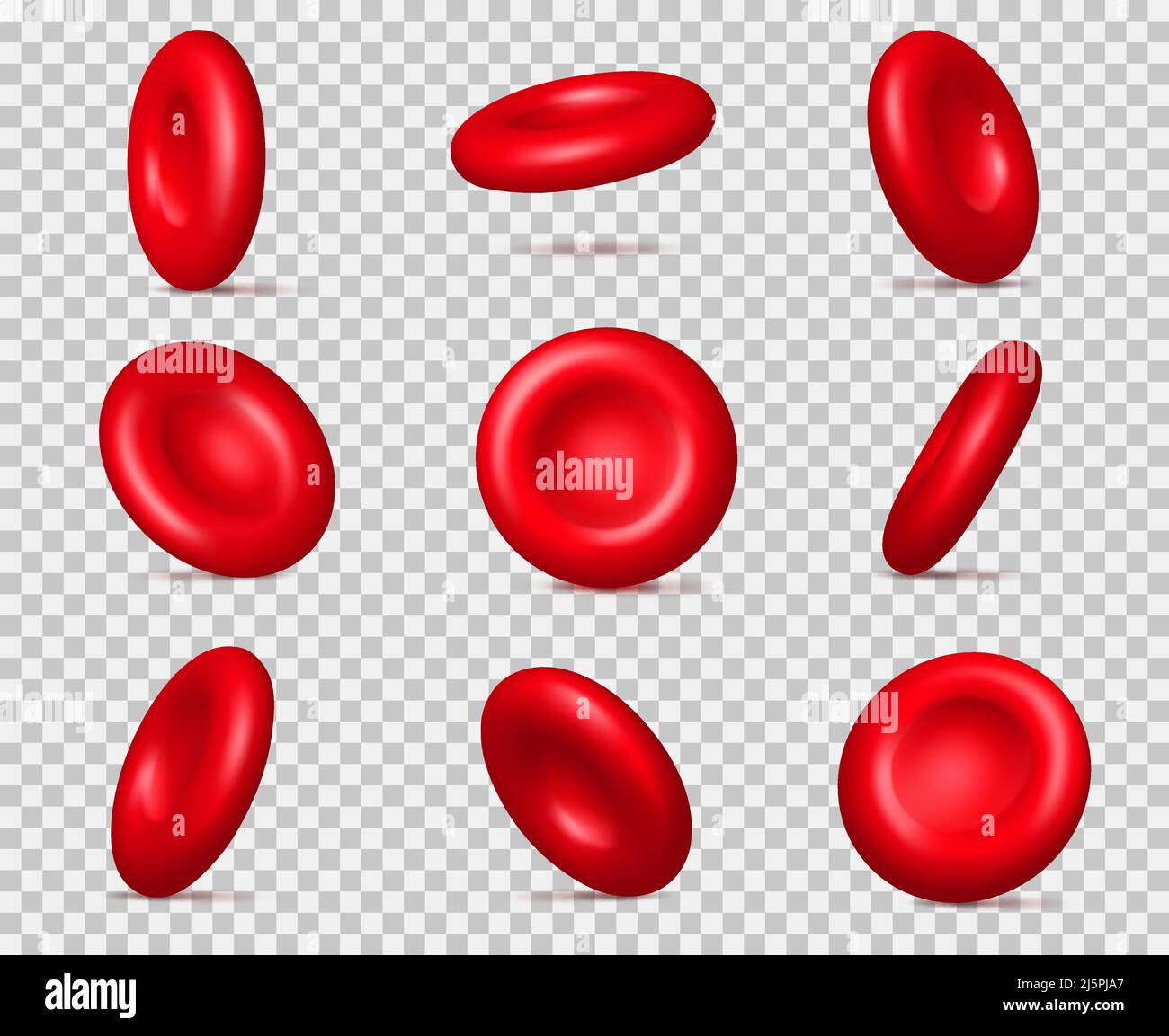 Realistische rote Blutkörperchen. 3D Erythrozytenmoleküle. Mikroskopische Hämoptikel. Unterschiedliche Blickwinkel. Gerinnung und Sauerstofftransport Stock Vektor