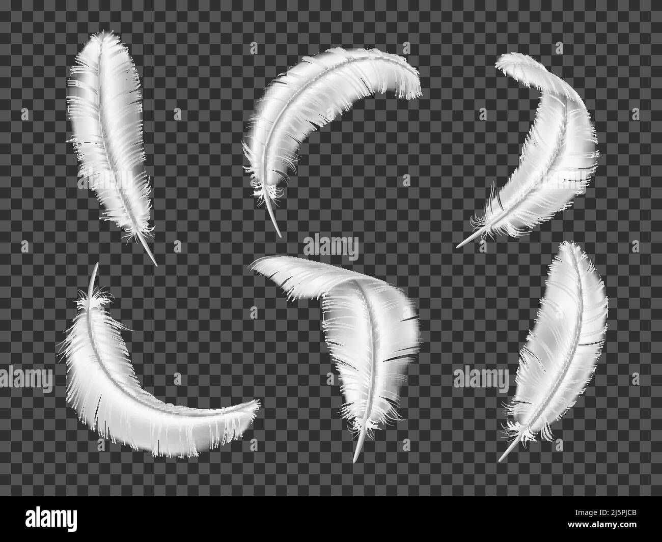 Realistische weiße Federn. 3D Vögel Gefieder Elemente. Isolierte flauschige und glatte Objekte. Engelsflügel. Unterschiedlich gebogene Gänse- oder Schwanenquills. Fliegen Stock Vektor