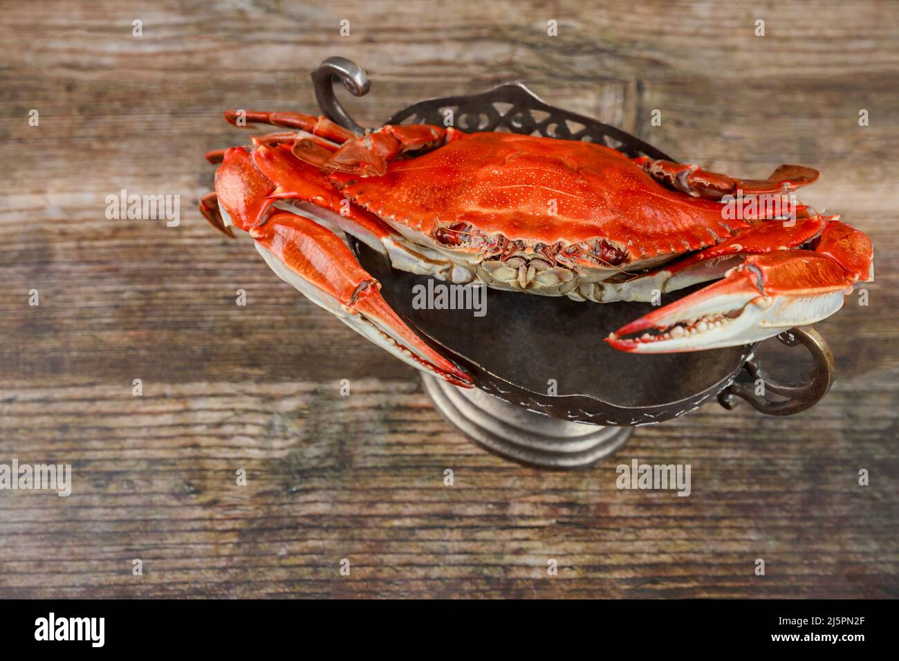 Gedämpfte rote Krabbe auf Holzhintergrund. Meeresfrüchte. Stockfoto