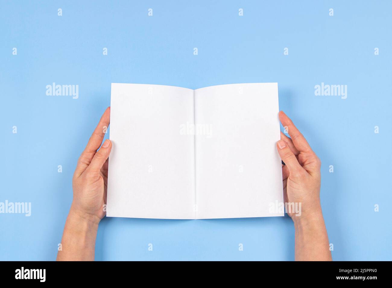 Frau Hände mit gefaltetem leerem Papierbogen, leerem Booklet, doppelseitigem Buch, Magazin auf hellblauem Hintergrund. Mustervorlage. Draufsicht Stockfoto