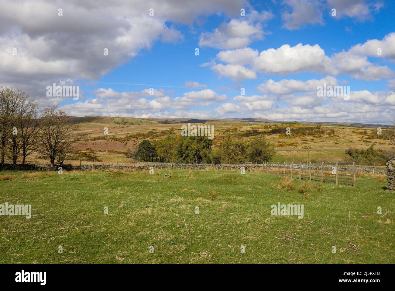 Blick über den Lake District Fell / offene wilde Landschaft / Wandern auf dem Land / Wandern Stockfoto