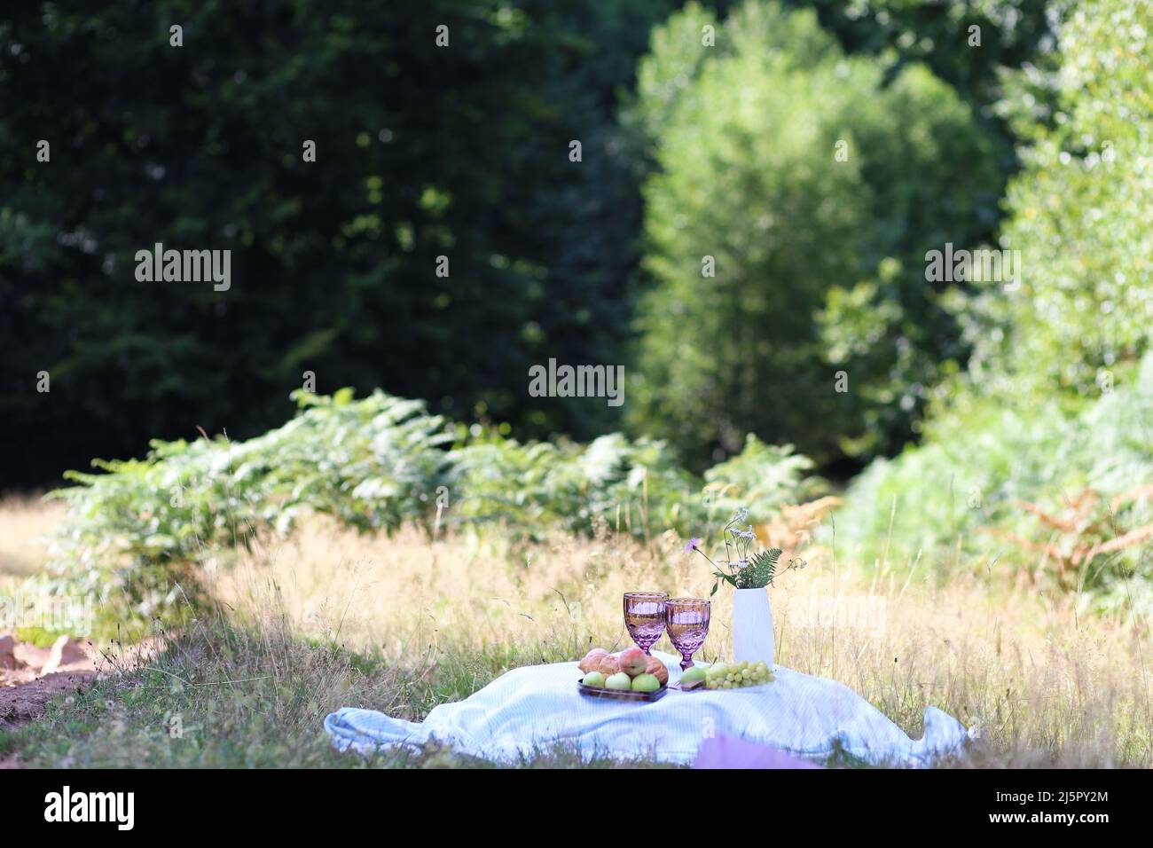 Sommerpicknick mit Croissants, Obst, Schokolade und einem Glas Wein im Wald. Hüttenkern-Ästhetik. Sommerstimmung Stockfoto