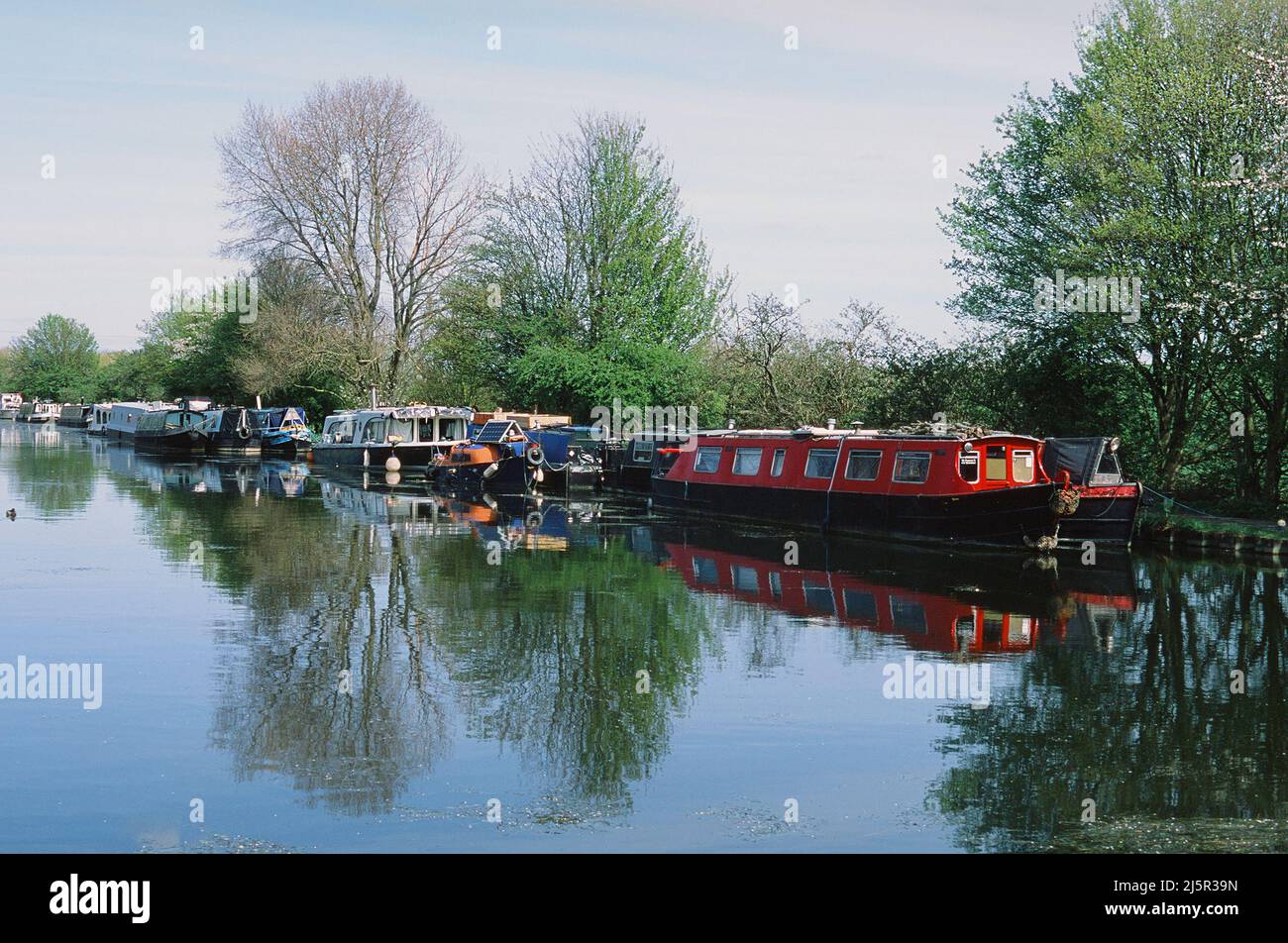 Der Fluss Lea in der Nähe von Stonebridge Lock auf Tottenham Marshes, im Frühling, North London, Großbritannien Stockfoto