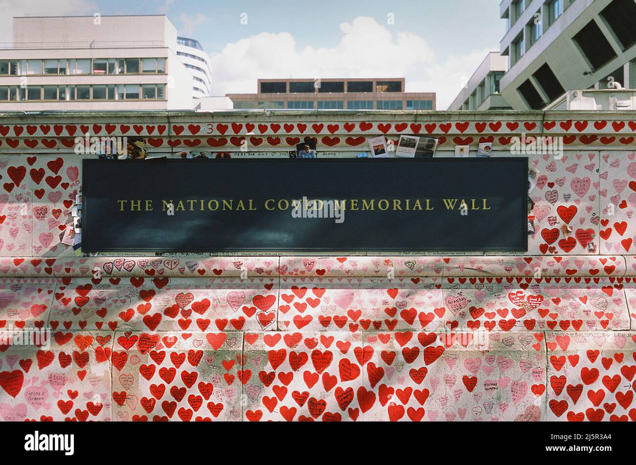 Die National Covid Memorial Wall am Südufer der Themse, Westminster, im Zentrum von London, Großbritannien Stockfoto