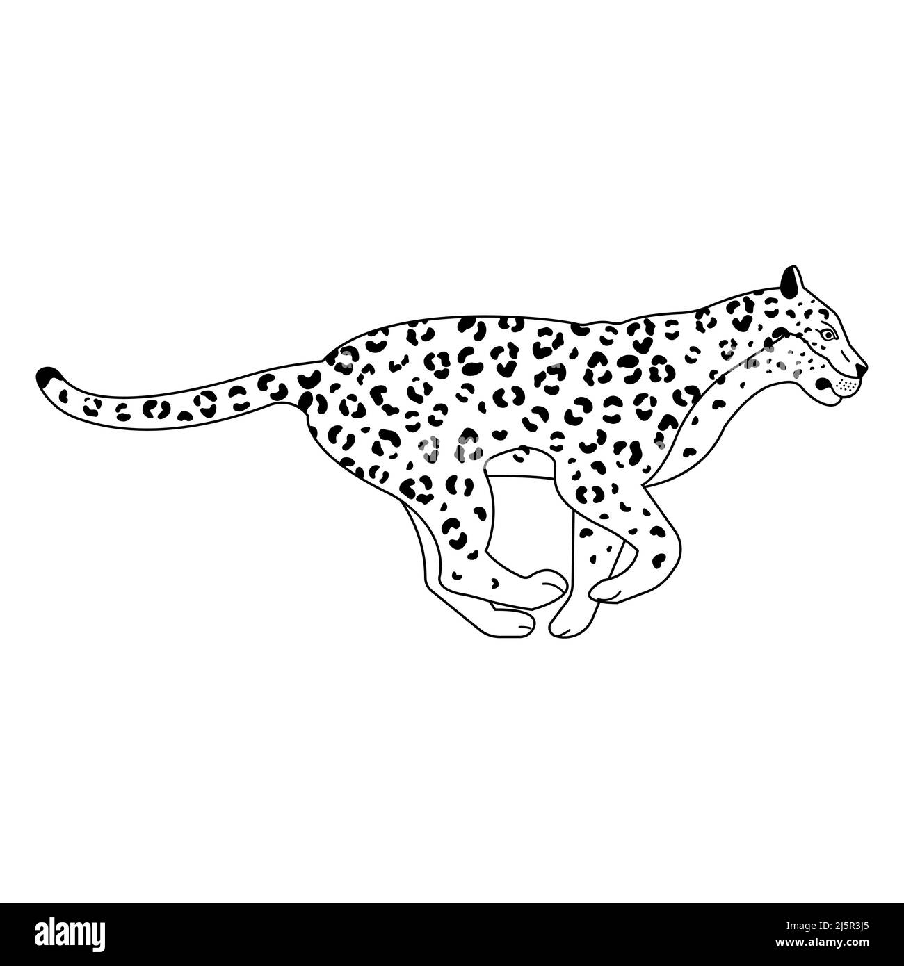 Vektor flache Umrisse laufen Leopard isoliert auf weißem Hintergrund Stock Vektor