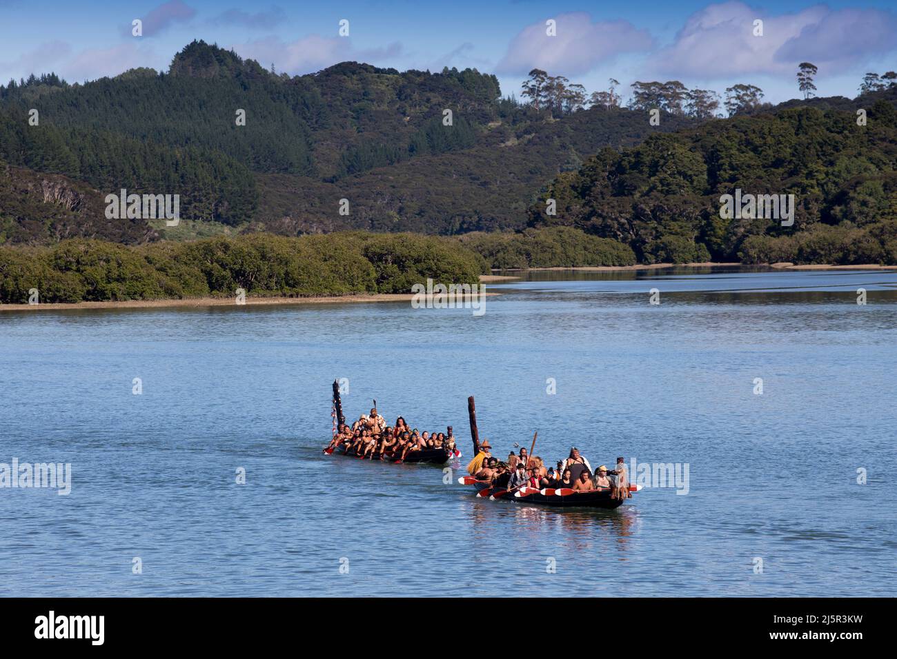 Maori-Krieger paddeln Waka taua (Kriegskanus) in Waitangi Day-Feierlichkeiten in Waitangi verschiedene Māori-Traditionen erzählen, wie ihre Vorfahren sich aufmachen Stockfoto