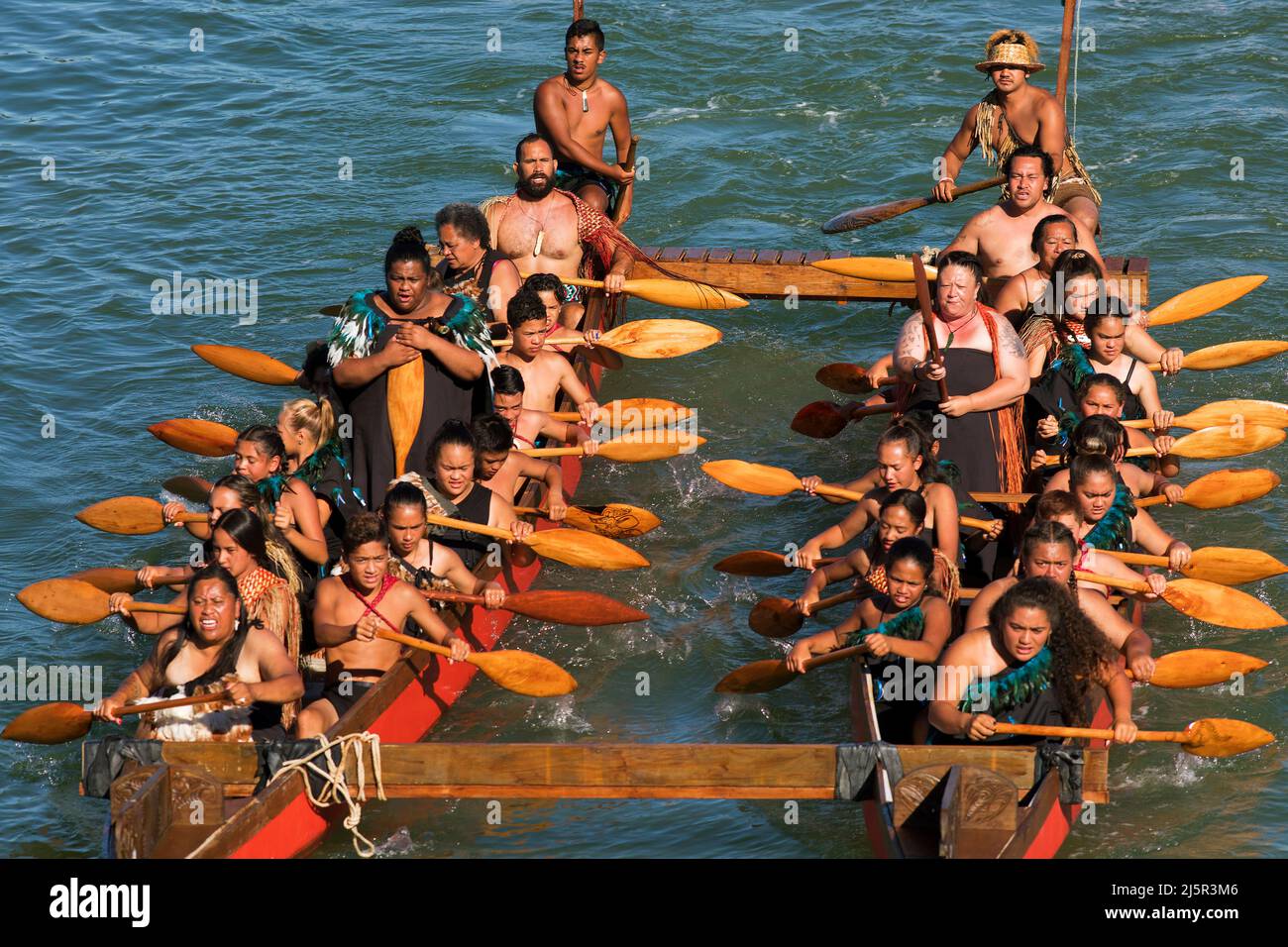 Maori-Krieger paddeln Waka taua (Kriegskanus) in Waitangi Day-Feierlichkeiten in Waitangi verschiedene Māori-Traditionen erzählen, wie ihre Vorfahren sich aufmachen Stockfoto