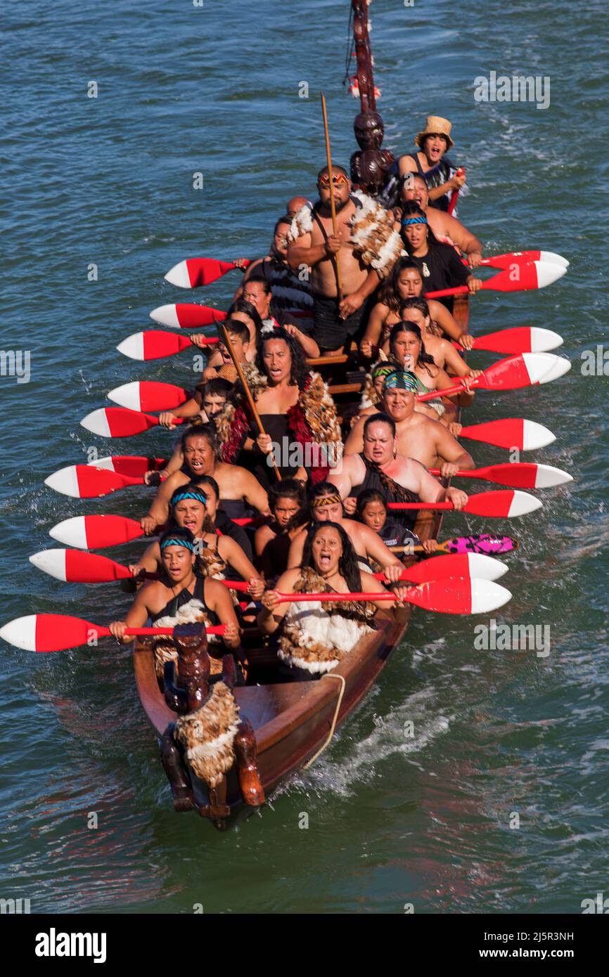 Maori Kriegskanus Fotos Und Bildmaterial In Hoher Aufl sung Alamy Maori Kriegskanus Fotos Und Bildmaterial In Hoher Aufl sung Alamy