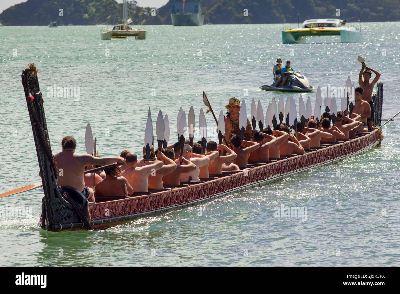 Maori-Krieger paddeln Waka taua (Kriegskanus) in Waitangi Day-Feierlichkeiten in Waitangi verschiedene Māori-Traditionen erzählen, wie ihre Vorfahren sich aufmachen Stockfoto