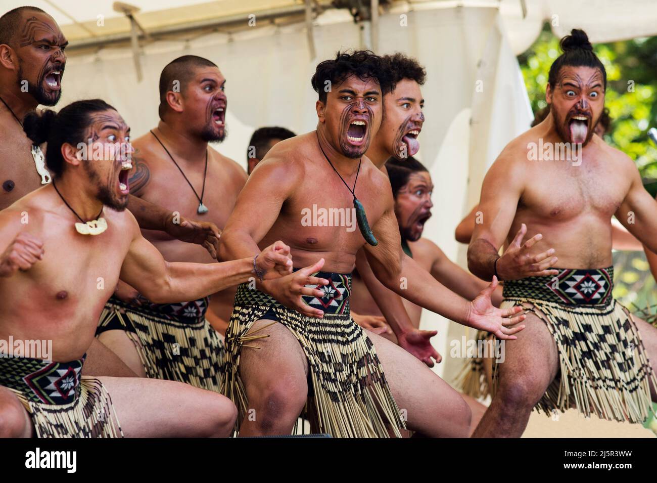 Der Haka ist ein traditioneller Kriegsschrei, ein Kriegstanz oder eine Herausforderung in der Māori-Kultur. Auf dem Foto wird es während des Waitingi-Tages aufgeführt. Der Waitangi-Tag ist der Nat Stockfoto