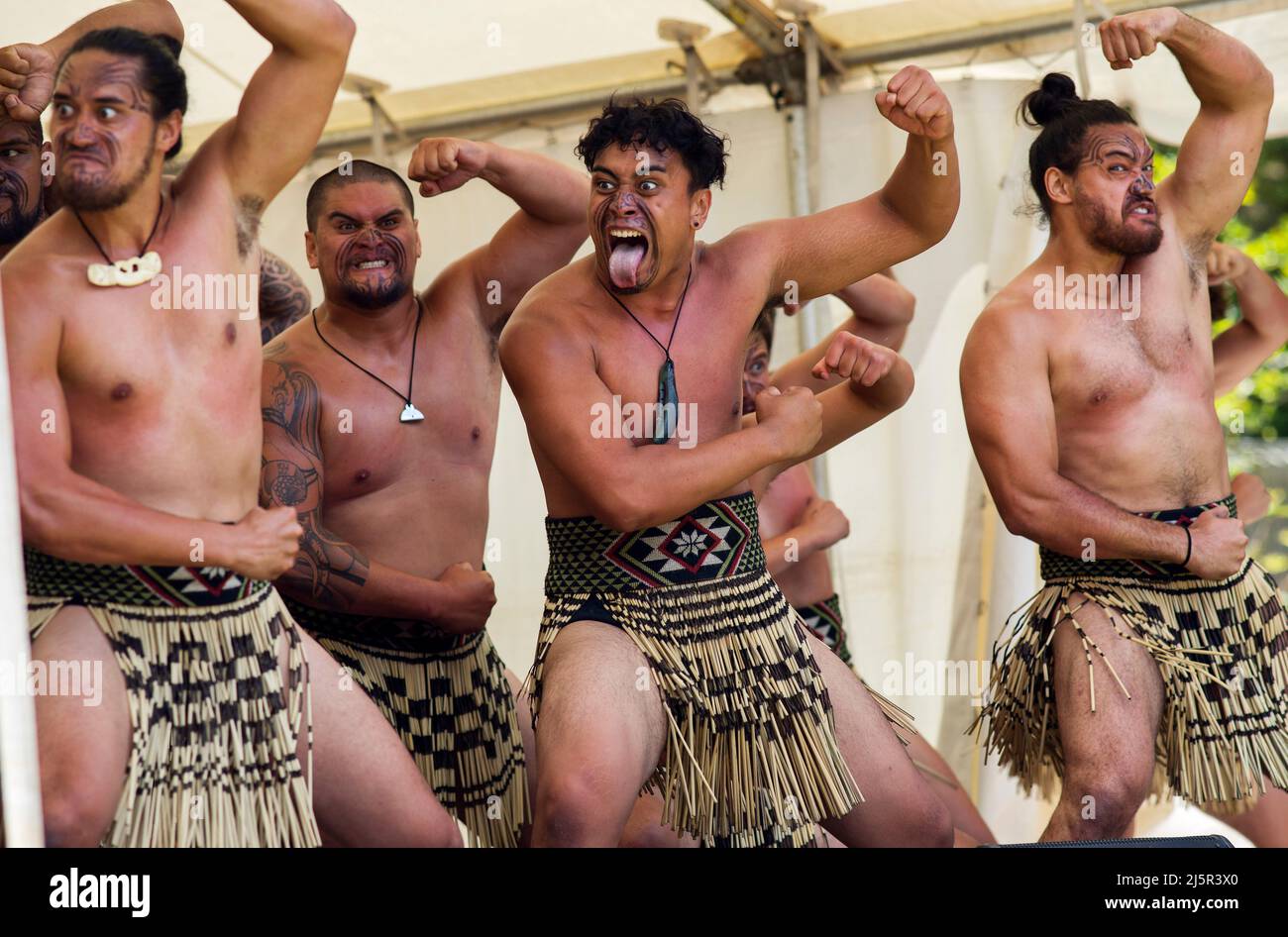 Der Haka ist ein traditioneller Kriegsschrei, ein Kriegstanz oder eine Herausforderung in der Māori-Kultur. Auf dem Foto wird es während des Waitingi-Tages aufgeführt. Der Waitangi-Tag ist der Nat Stockfoto