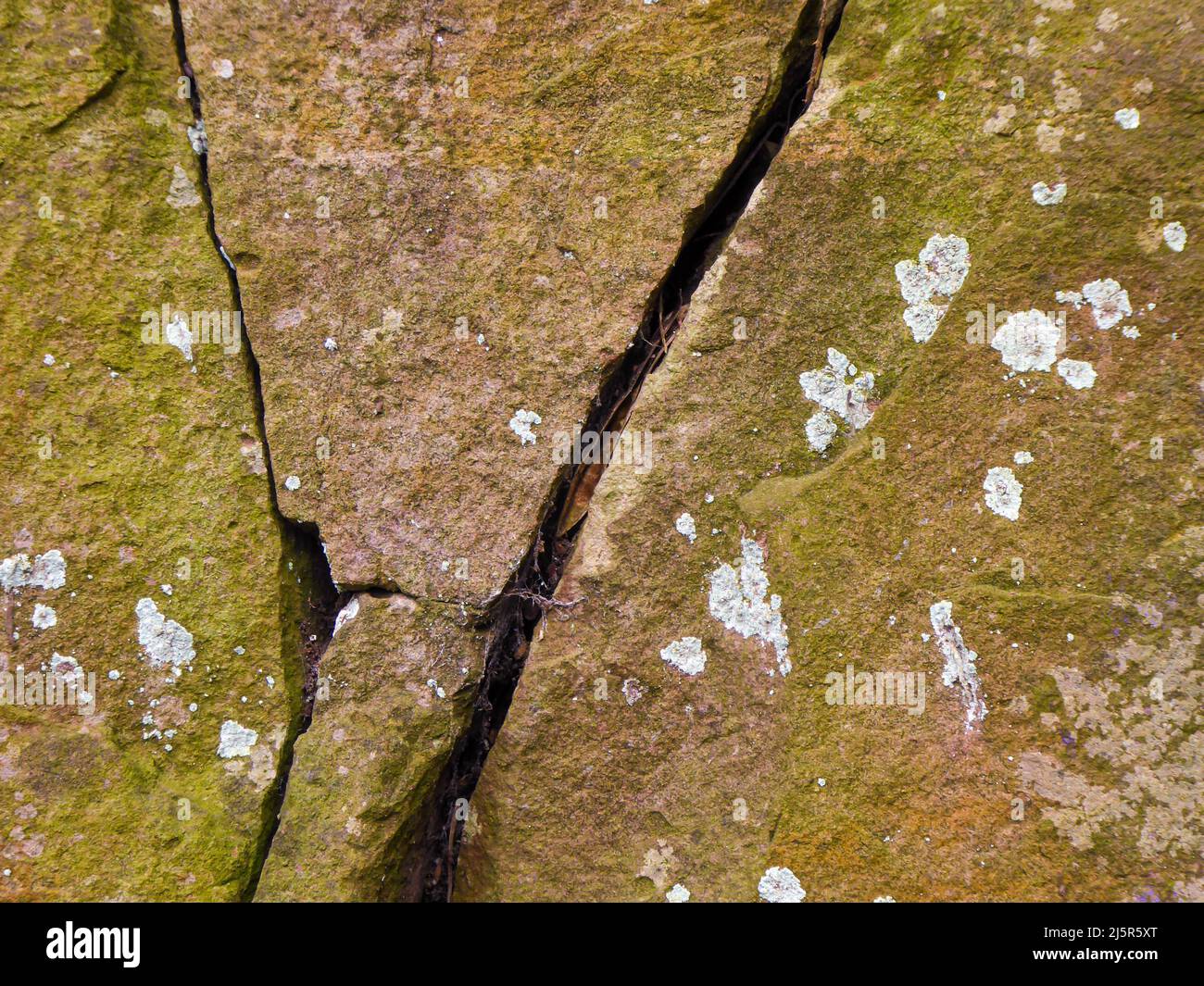 Nahaufnahme von verwittertem Sandsteinfelsen mit Moosen, Flechten und Felsspalten Stockfoto