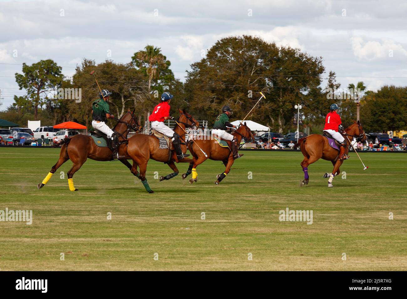Polo-Spiel; schnelllebig; Spiel; Pferde laufen auf dem Spielfeld; 4 Spieler, Menschen; Sport; Bewegung, Zuschauer, grünes Gras, wolkigen Himmel, Wettbewerb, Florida; See Stockfoto