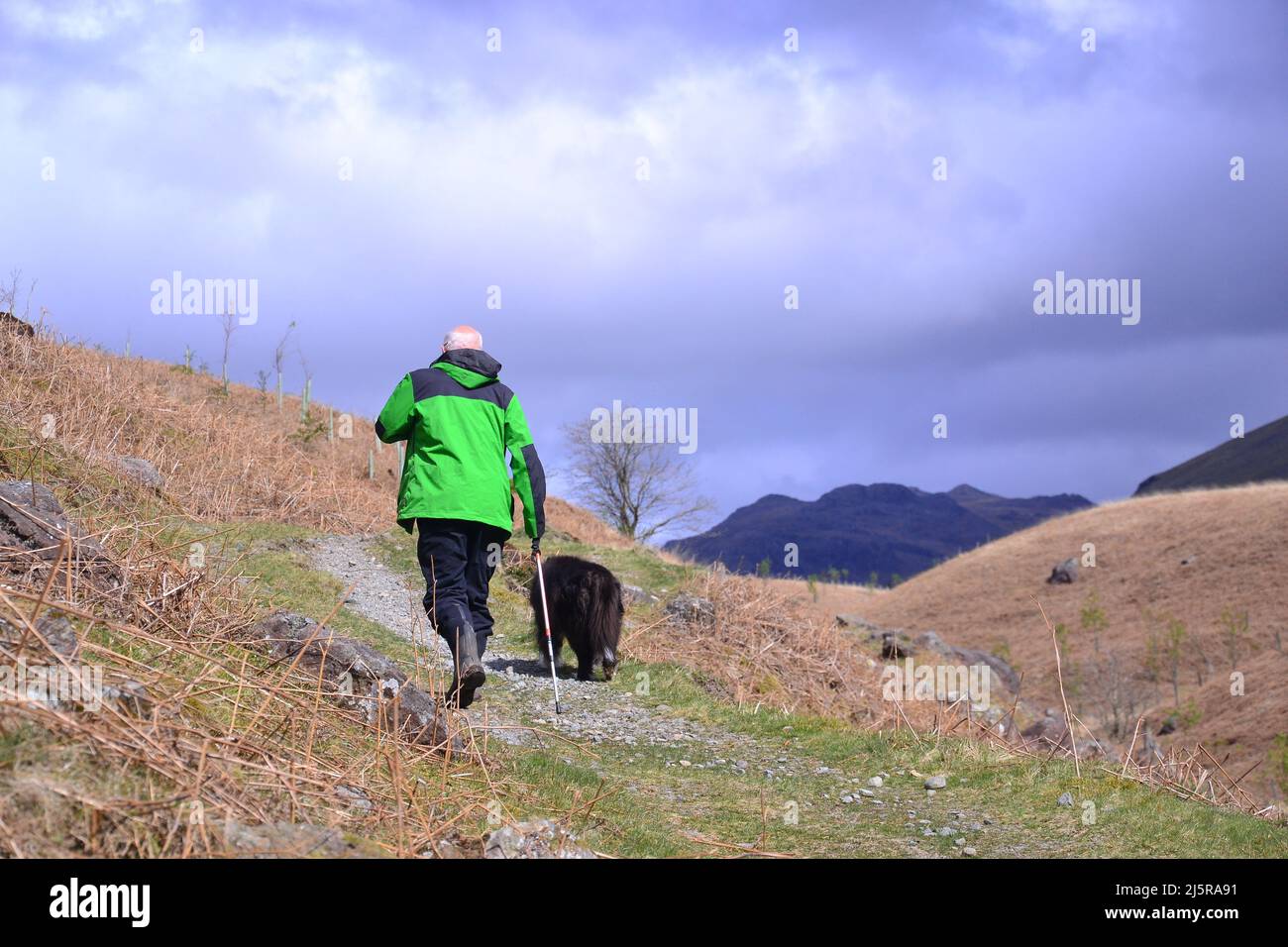 Ein älterer Mann, der mit seinem Hund auf einem Hügel im Lake District National Park, Cumbria, England, Großbritannien, einen Pfad entlang läuft. Eine Umfrage von Nuffield Health unter 8.000 Menschen in Großbritannien hat auch gezeigt, dass die meisten Erwachsenen in Großbritannien nicht genug Sport treiben. Als Reaktion auf die Umfrage hat Nuffield Health eine Kampagne mit dem Titel „Find Time for Your Mind“ ins Leben gerufen, mit der die Menschen dazu ermutigt werden sollen, täglich 5 Minuten mehr Sport zu treiben oder sich auf ihr geistiges Wohlbefinden zu konzentrieren. Stockfoto
