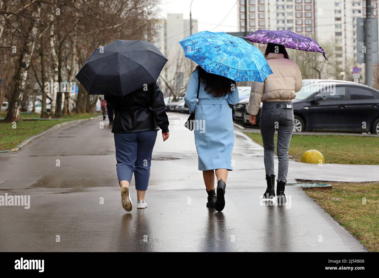 Regen in der Stadt, drei Mädchen mit Regenschirmen gehen eine Straße entlang. Regnerisches Wetter, Frühling weibliche Mode Stockfoto