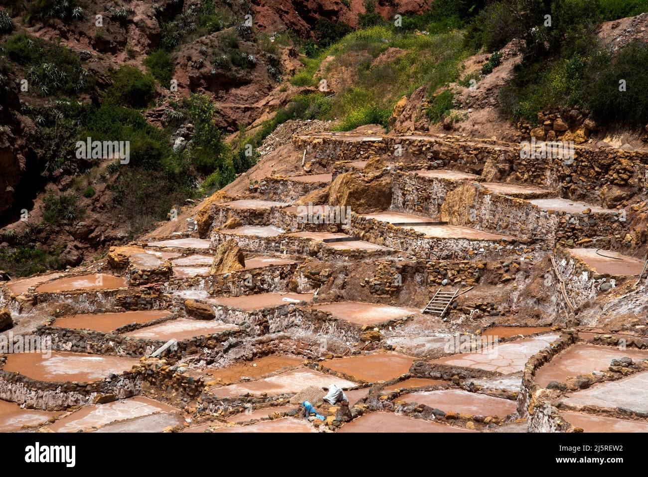 Salinas de Maris Salzverdampfungsteiche Stockfoto
