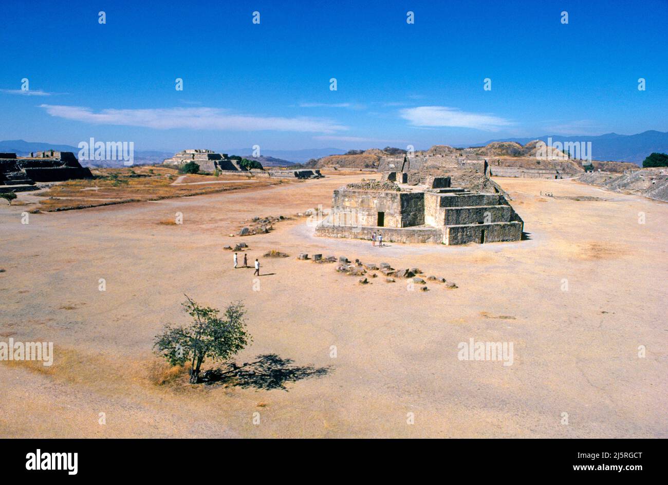 Am Überblick über mehrere der steinernen Templepyramiden und den zentralen platz am Monte Alban, einer 1.000 Jahre alten indischen Zapotec-Stadt in der Nähe von Oaxaca, Mexiko, in der südlichen Sierra Madre. Stockfoto