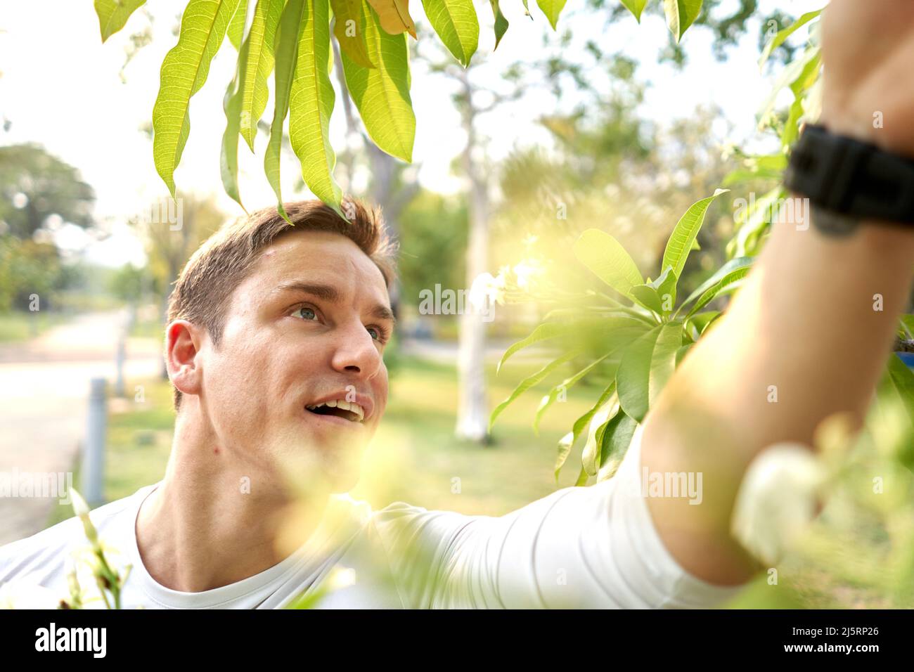 Mann, der im Park eine Blume von einem Baum pflückt Stockfoto