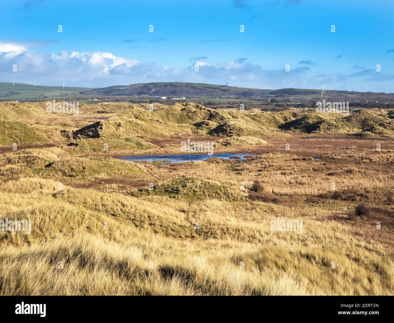 Sandscale Hawes bei Roanhead an der Küste von Cumbria bei Barrow in Furness ist ein seltenes Habitat für Sanddünen. Stockfoto